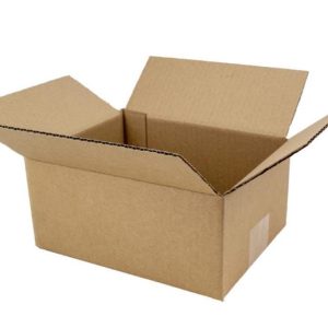 Hộp carton nắp đối size mini ảnh 2