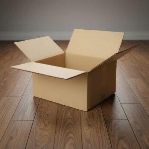 Hộp carton nắp đối size vừa ảnh 3