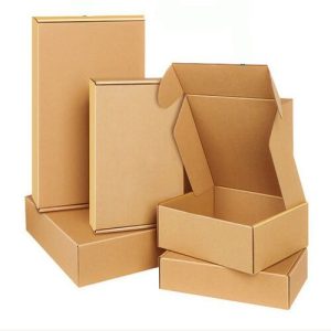 Hộp carton nắp gài ảnh 3