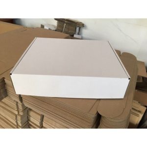 Hộp nắp gài 3 lớp trắng nâu ảnh 4