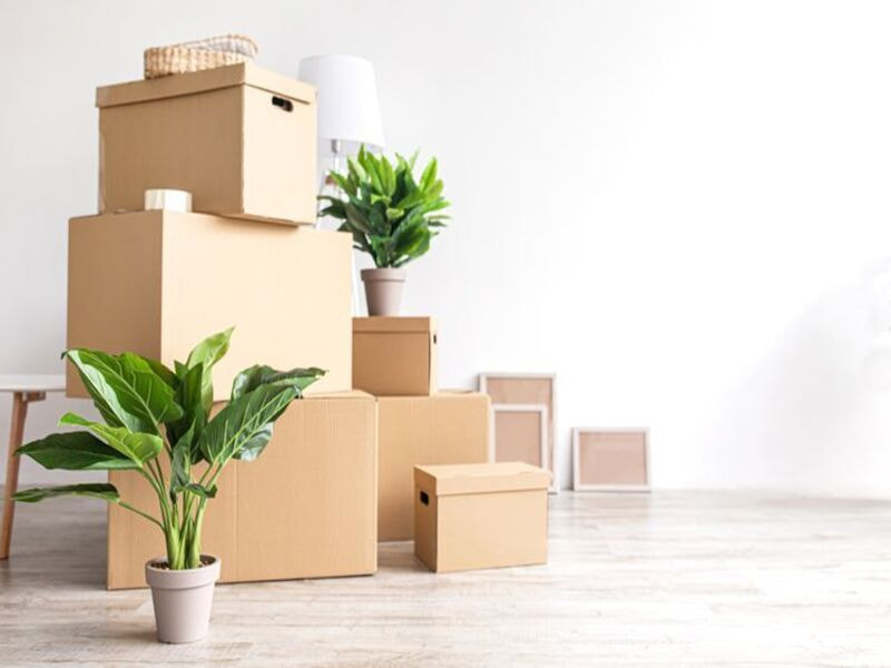 Checklist 3: Chọn kích thước thùng carton theo diện tích nhà