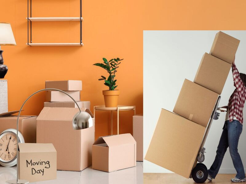 Checklist 4: Số lượng thùng carton cần dùng