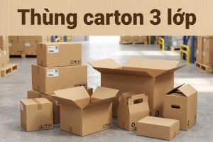 Thùng carton 3 lớp