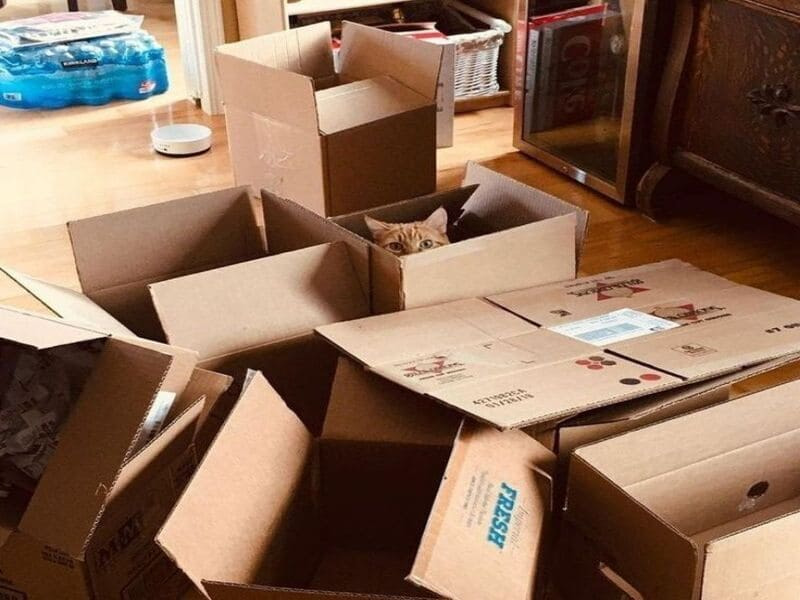 Chọn thùng nhựa hay thùng carton để chuyển nhà? So sánh chi tiết 8 Thùng carton chuyển nhà là gì?